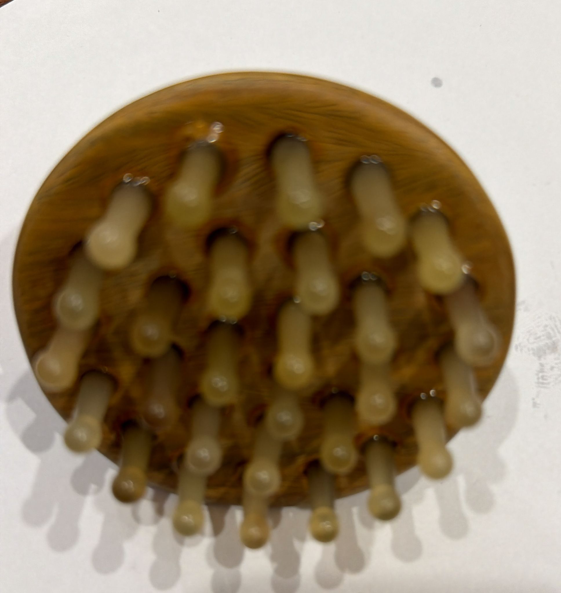 Horn Head-meridian Comb